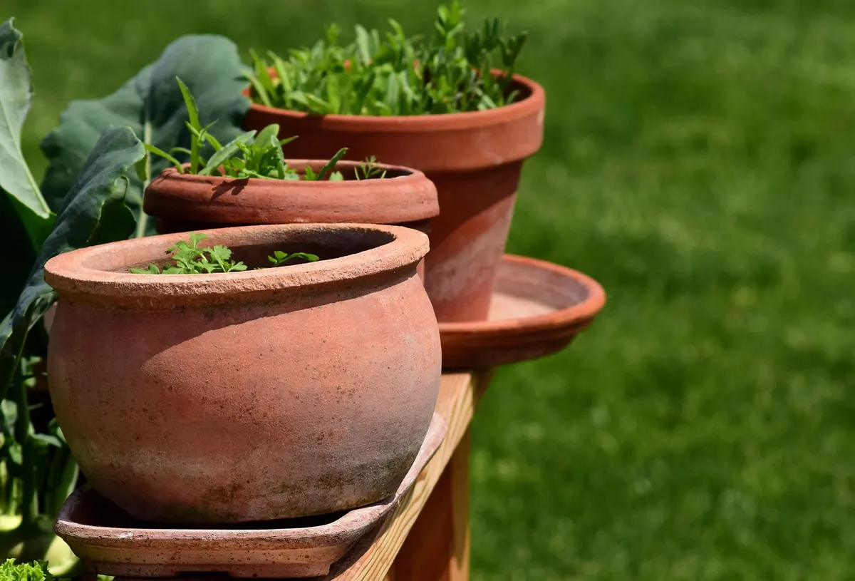 How to Build a Mediterranean Herb Container Garden for a Sunny UK Patio